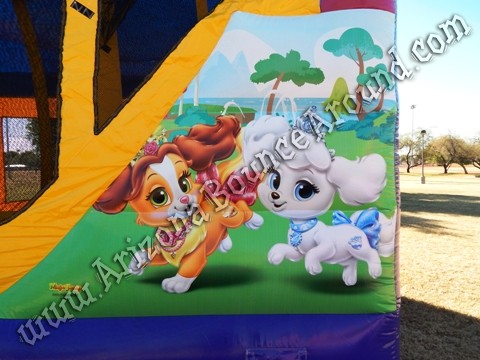 Disney Palace Pets Bounce House Rentals Phoenix